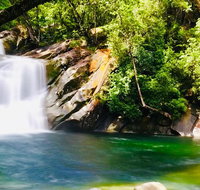 Wooroonooran National Park Rainforest and Wildlife Day Trip from Cairns - Southport Accommodation