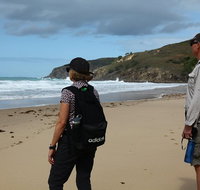 Tropical Beach Adventure - Private 4X4 Day Tour with Pickup - Southport Accommodation