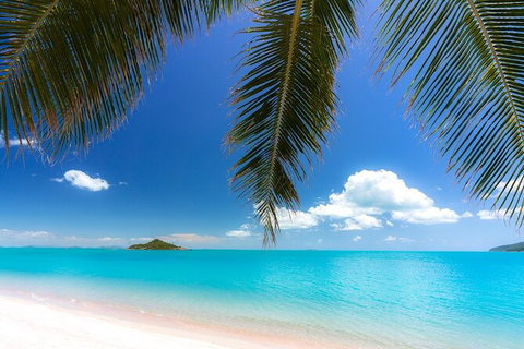 Reef, Wildlife & Rainforest - Reef & Beyond Guided Holidays - Accommodation Southport 4