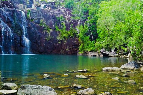 Reef, Wildlife & Rainforest - Reef & Beyond Guided Holidays - Accommodation Southport 0