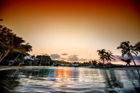 Reef, Wildlife & Rainforest - Reef & Beyond Guided Holidays - Accommodation Southport 6