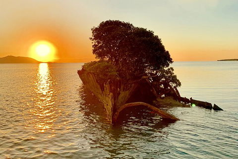 Aquascene Magnetic Island Sunset & Shipwreck Tour - Southport Accommodation 3