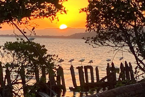 Aquascene Magnetic Island Sunset & Shipwreck Tour - Southport Accommodation 2