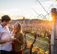 Stanthorpe Winery Experience - Southport Accommodation