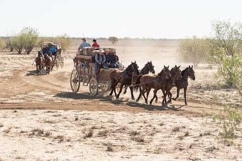 Cobb And Co Stagecoach Experience - Accommodation Southport 4