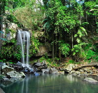 Tamborine Mountain  Gold Coast Tour - Southport Accommodation