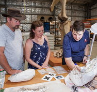 Australian Dinosaur Giants Tour - Southport Accommodation