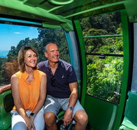 Sightseeing Kuranda Self-Driving Tour - Southport Accommodation