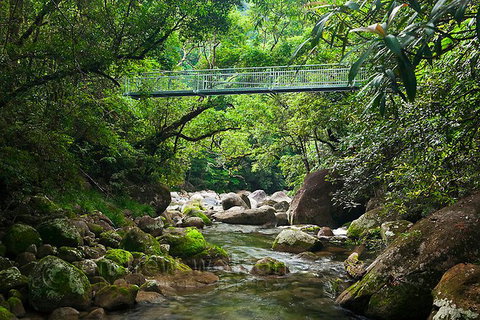 SHUTTLE - Mossman Gorge & Cooya Beach From Port Douglas (Return Transfer) - Accommodation Southport 4