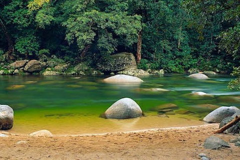 SHUTTLE - Mossman Gorge & Cooya Beach From Port Douglas (Return Transfer) - Accommodation Southport 1