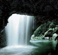 Glowworm Cave  Natural Bridge Tour - Southport Accommodation
