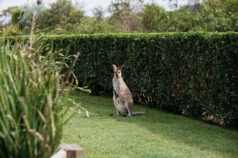 Local Wine Discovery - Accommodation Southport 1