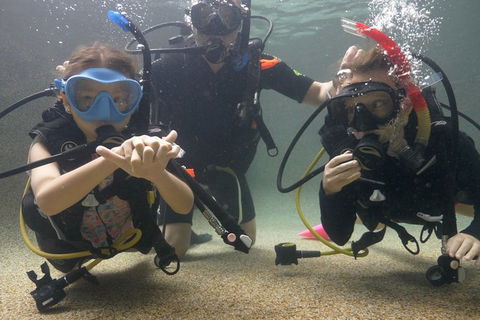 Scuba Kids- Padi Bubblemaker Course - Southport Accommodation 4