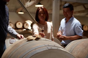 Book Adelaide SA Attractions Southport Accommodation Southport Accommodation