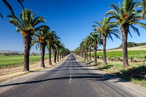 Discover Barossa Wine History& Heritage - Private Day Tour - Southport Accommodation 4
