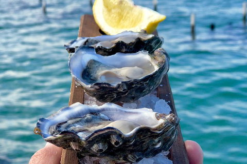 Coffin Bay Oysters, Ocean & Nature Tour - Accommodation Southport 0