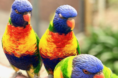 Coffin Bay Oysters, Ocean & Nature Tour - Accommodation Southport 9