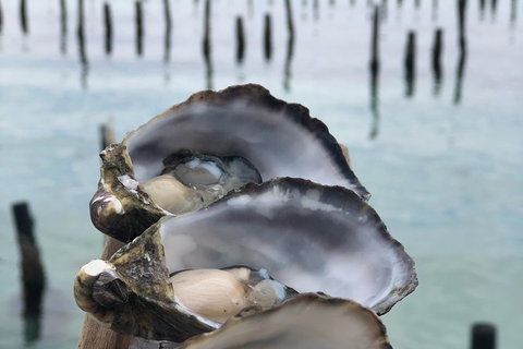 Coffin Bay Oysters, Ocean & Nature Tour - Accommodation Southport 6