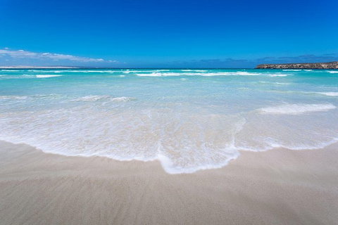 Coffin Bay Oysters, Ocean & Nature Tour - Accommodation Southport 14