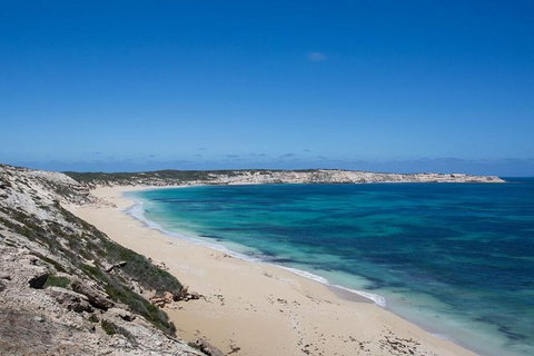 Coffin Bay Oysters, Ocean & Nature Tour - Accommodation Southport 16