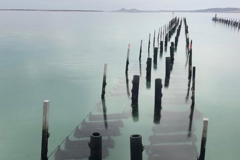 Coffin Bay Oysters, Ocean & Nature Tour - Accommodation Southport 15