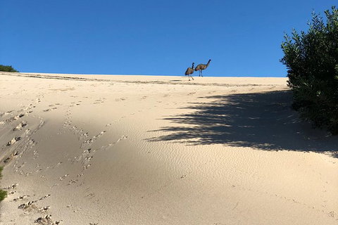 Coffin Bay Oysters, Ocean & Nature Tour - Accommodation Southport 4