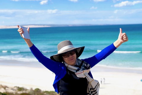 Coffin Bay Oysters, Ocean & Nature Tour - Accommodation Southport 11
