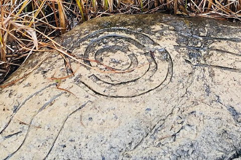 Adelaide Cultural Safari - Private Charters - Accommodation Southport 2