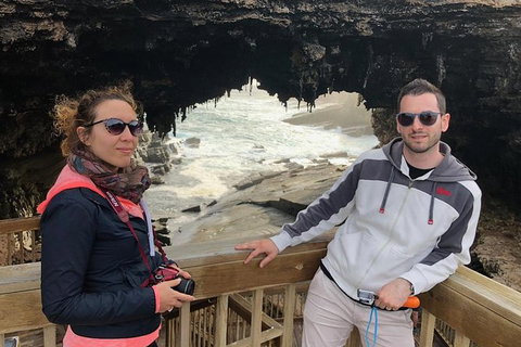 NEW TOUR - Flinders Chase Tour (Recovering From Fires) - Accommodation Southport 1