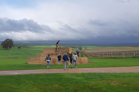 Private Wine Tour - Southport Accommodation 4