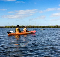 Dolphin Sanctuary Kayaking in Adelaide