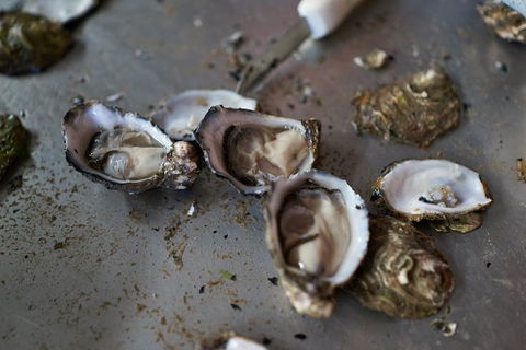 Fine Flavours - Full Day Kangaroo Island Food & Wine Tour - Southport Accommodation 10