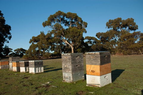 Fine Flavours - Full Day Kangaroo Island Food & Wine Tour - Southport Accommodation 5