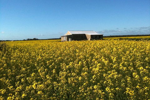 Fine Flavours - Full Day Kangaroo Island Food & Wine Tour - Southport Accommodation 11