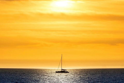 Adelaide Twilight Coast Sightseeing Cruise From Glenelg - Southport Accommodation 0