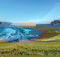 Cruise Ship Special from Burnie to Stanley and The Nut - Accommodation Southport