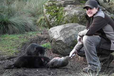 After Dark Tasmanian Devil Feeding Tour At Cradle Mountain - Southport Accommodation 0
