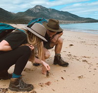 Freycinet Walking Tour - Southport Accommodation