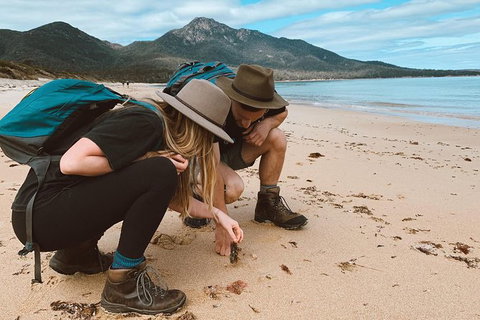 Freycinet Walking Tour - Accommodation Southport 0