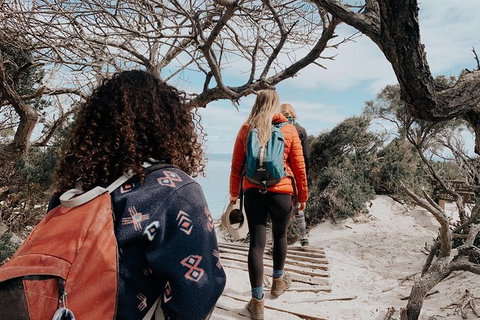 Freycinet Walking Tour - Accommodation Southport 6