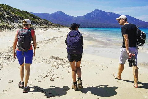 Freycinet Walking Tour - Accommodation Southport 1