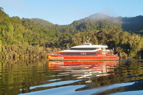 Afternoon Gordon River Dinner Cruise - Departing 3pm - Southport Accommodation 1