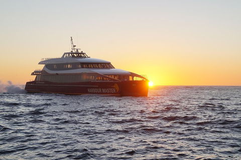 Afternoon Gordon River Dinner Cruise - Departing 3pm - Southport Accommodation 0