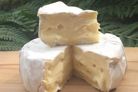 All Inclusive Wine Tour Up The Derwent Valley Hobart: Local Wines & Cheeses - Accommodation Southport 2