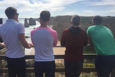 LGBT+ Friendly 12-Hour Great Ocean Road Private Tour - Accommodation Southport 0