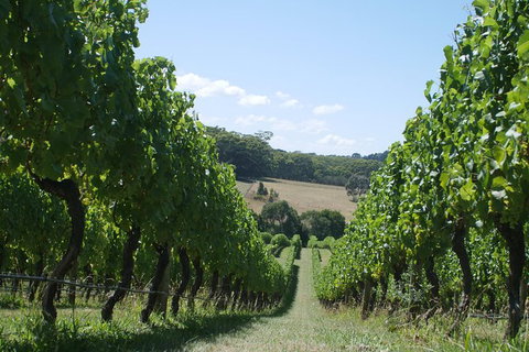 Private Winery Tour - Southport Accommodation 0