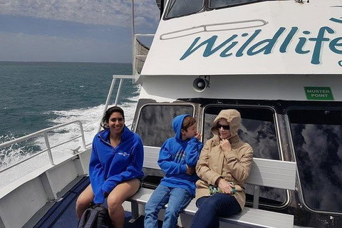 Phillip Island Penguin And Wildlife Tour - Accommodation Southport 15