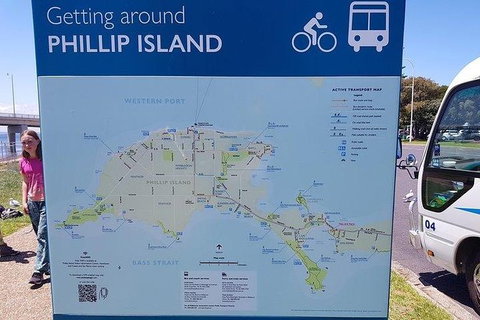 Phillip Island Penguin And Wildlife Tour - Accommodation Southport 28