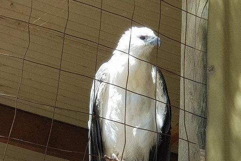 Phillip Island Penguin And Wildlife Tour - Accommodation Southport 21