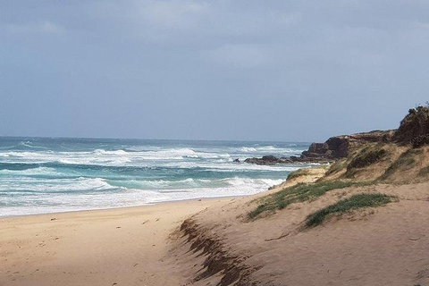 Phillip Island Penguin And Wildlife Tour - Accommodation Southport 10